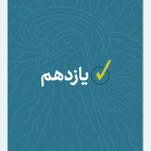 جزوات یازدهم